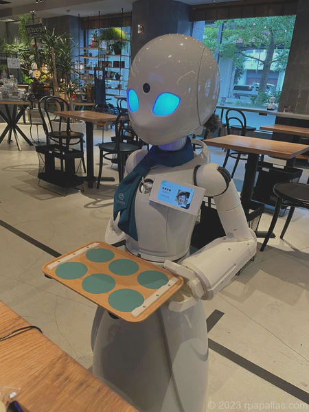 Served by a tele-operated robot in Tokyo, Japan